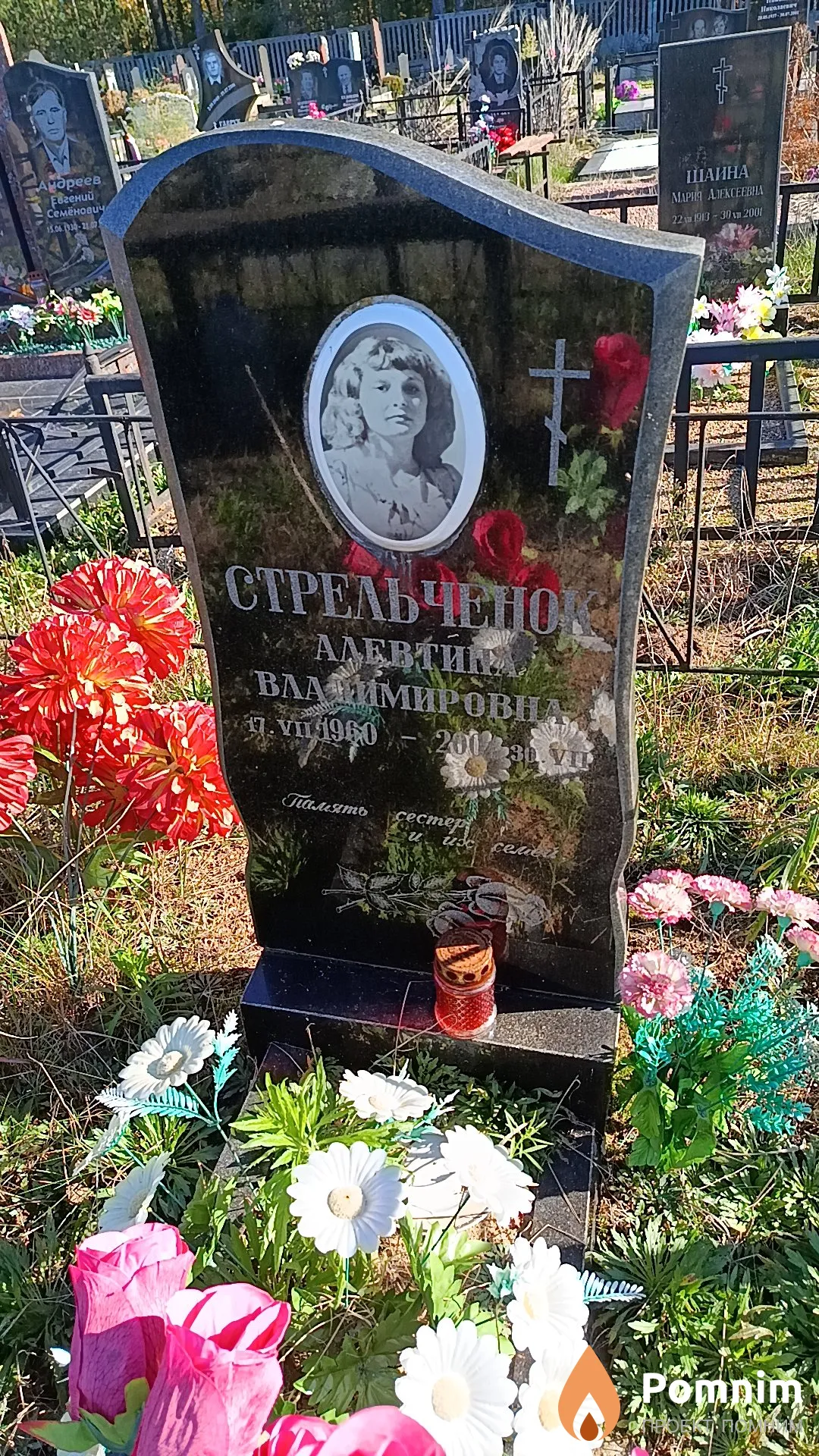Стрельченок Алевтина Владимировна