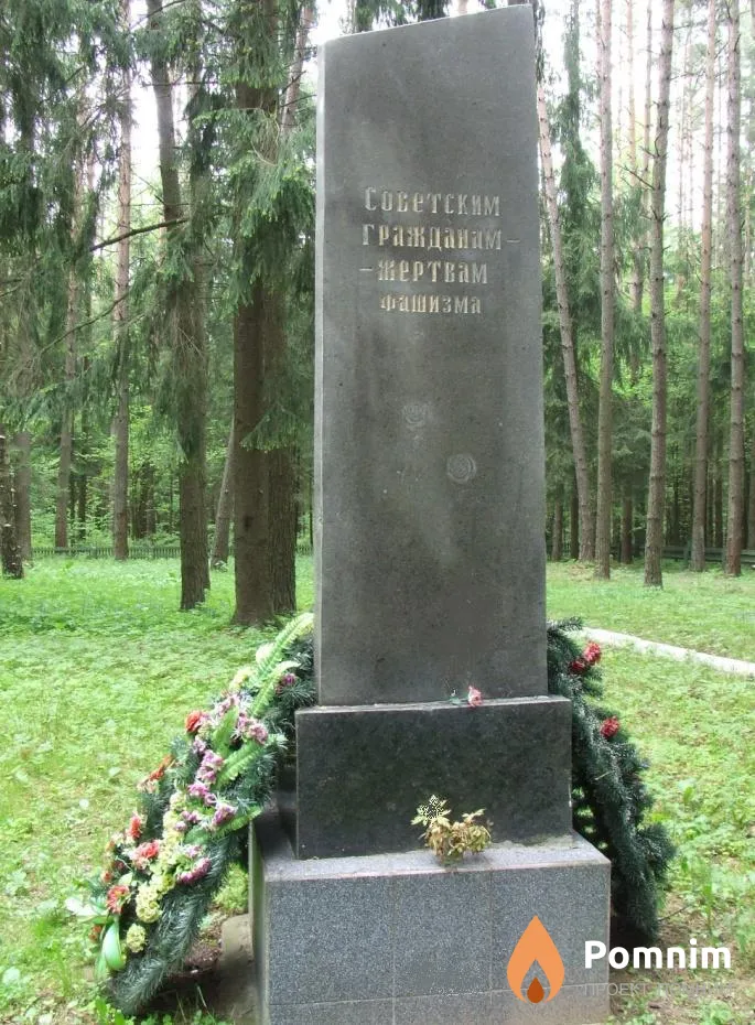 
<span>Братская могила д. Б. Боровка 6461</span>
