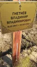 Захоронение ID 6958558