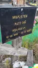 Захоронение ID 6964484