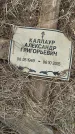 Захоронение ID 6969337