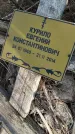 Захоронение ID 6970906
