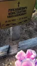 Захоронение ID 6971186
