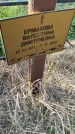 Захоронение ID 6971192