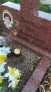 Захоронение ID 6971399