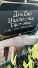 Захоронение ID 6971426