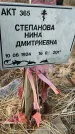Захоронение ID 6974991