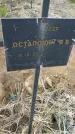 Захоронение ID 6975003