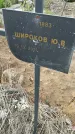 Захоронение ID 6975004