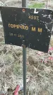 Захоронение ID 6975133