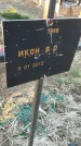 Захоронение ID 6975136