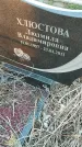 Захоронение ID 6975149