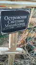 Захоронение ID 6975179