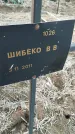 Захоронение ID 6975198