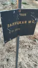 Захоронение ID 6975201