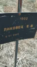 Захоронение ID 6975202