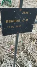 Захоронение ID 6975204