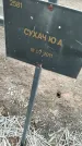 Захоронение ID 6975211