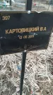 Захоронение ID 6975249