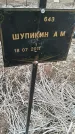 Захоронение ID 6975253