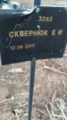 Захоронение ID 6975258