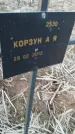 Захоронение ID 6975260