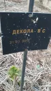 Захоронение ID 6975263