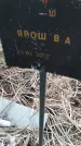 Захоронение ID 6975264