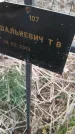 Захоронение ID 6975266