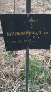 Захоронение ID 6975267
