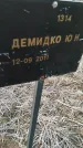 Захоронение ID 6975269
