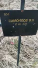 Захоронение ID 6975274