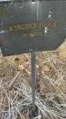 Захоронение ID 6976713