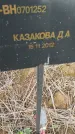 Захоронение ID 6976714