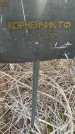 Захоронение ID 6976715