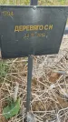 Захоронение ID 6976717