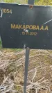 Захоронение ID 6976721
