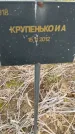 Захоронение ID 6976722