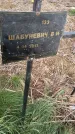 Захоронение ID 6976749
