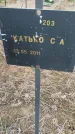 Захоронение ID 6976754