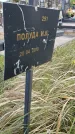 Захоронение ID 6976756
