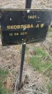 Захоронение ID 6976924