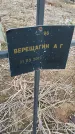 Захоронение ID 6976931