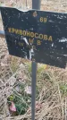 Захоронение ID 6976932