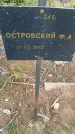 Захоронение ID 6976935