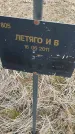 Захоронение ID 6976946