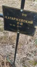 Захоронение ID 6976947