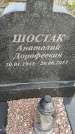 Захоронение ID 6976991