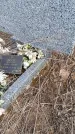 Захоронение ID 6980877