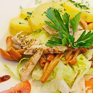 Салат с цыпленком и лесными опятами, Martin Cafe
